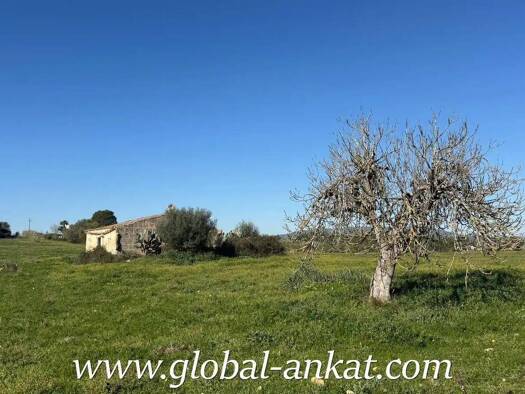 Wohn- und Gewerbegrundstück zum Kauf 245.000 € Petra 07520