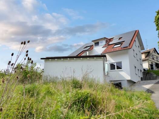 Mehrfamilienhaus zum Kauf 1.500.000 € 10 Zimmer 291 m² 2.410 m² Grundstück Ebersberg Erbach 64711