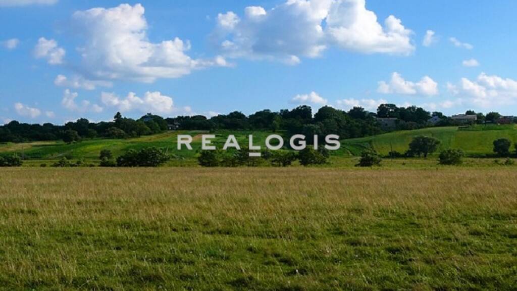 Grundstück zum Kauf 20.000 m² Grundstück Hainbronn Pegnitz 91257