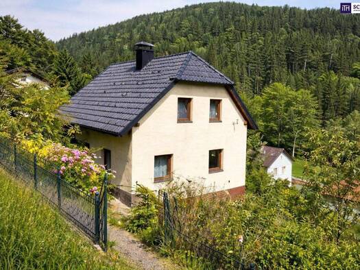 Einfamilienhaus zum Kauf 89.000 € 674 m² Grundstück Karnerviertel Waldbach-Mönichwald 8251