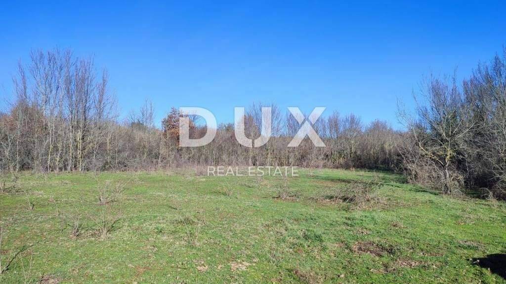 Land-/Forstwirtschaft zum Kauf 94.000 € Barban