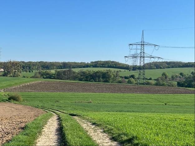 Land-/Forstwirtschaft zum Kauf 30.000 € 10.961 m² Grundstück Messerich 54636