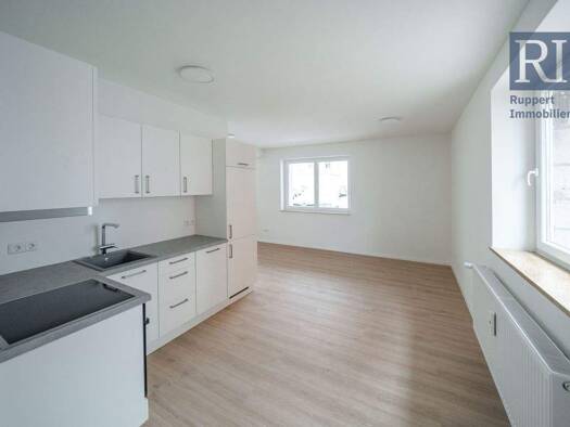 Wohnung zum Kauf provisionsfrei 224.600 € 2 Zimmer 43,3 m² EG Scanzonistr. 8 Altstadt Würzburg 97080