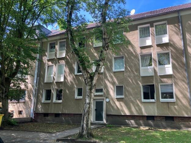 Wohnung zur Miete 347 € 2 Zimmer 49,6 m² frei ab 08.08.2026 Buerer Str. 77 Horst Gelsenkirchen 45899