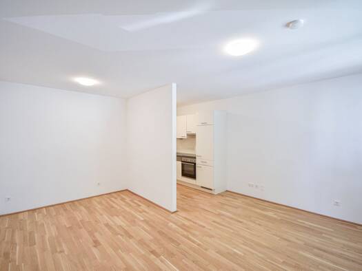 Wohnung zur Miete 660 € 1,5 Zimmer 7. Geschoss Brigittenau 1200