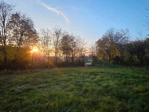 Grundstück zum Kauf provisionsfrei 123.456 € 1.270 m² Grundstück Großer Anger Geisfeld Strullendorf 96129