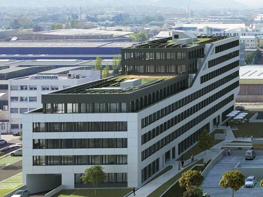 Bürofläche zur Miete 946,6 m² Bürofläche Wien 1230