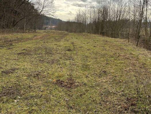 Land-/Forstwirtschaft zum Kauf 147.000 € 9.170 m² Grundstück Herbsdorf Nußdorf 83365