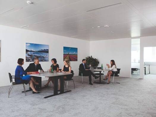 Bürofläche zur Miete provisionsfrei 7.315 € 475 m² Bürofläche Wiener Neudorf 2351