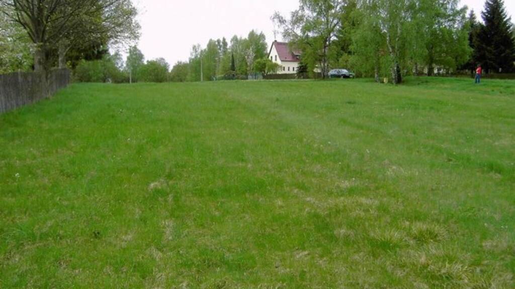 Grundstück zum Kauf 99.000 € 12.990 m² Grundstück Adorf 08626