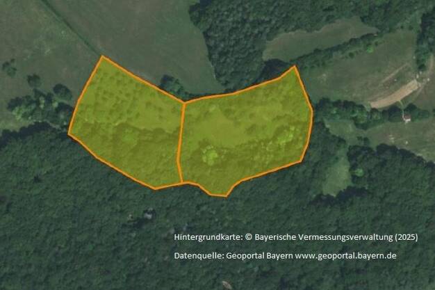 Land-/Forstwirtschaft zum Kauf 36.180 € 18.090 m² Grundstück Haselstauden Obertrubach 91286