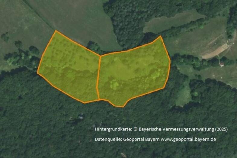 Land-/Forstwirtschaft zum Kauf 36.180 € 18.090 m² Grundstück Haselstauden Obertrubach 91286