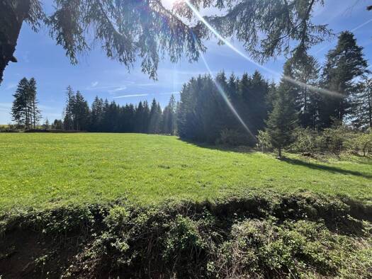 Freizeitgrundstück zum Kauf 28.000 € 3.340 m² Grundstück frei ab sofort Furth Roßhaupten 87672