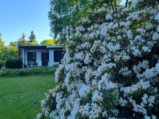 Grundstück zum Kauf provisionsfrei 130.000 € 926 m² Grundstück Radebeul 01445