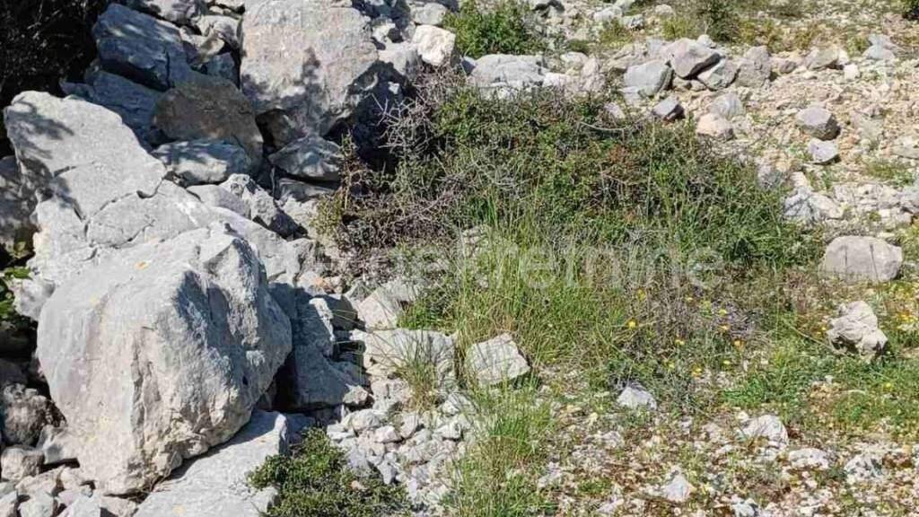 Land-/Forstwirtschaft zum Kauf 14.200 € Cres