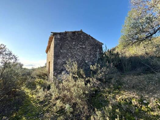 Acker-/Waldstück zum Kauf 119.000 € Flix 43750