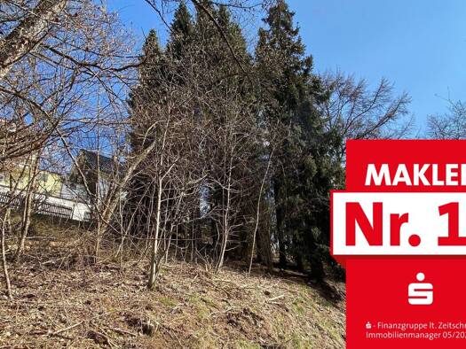 Grundstück zum Kauf 22.000 € 651 m² Grundstück Aue Bad Berleburg 57319