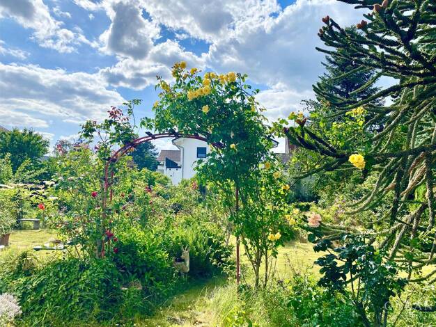 Einfamilienhaus zum Kauf 950.000 € 8 Zimmer 317 m² 1.271 m² Grundstück Heddesheim 68542