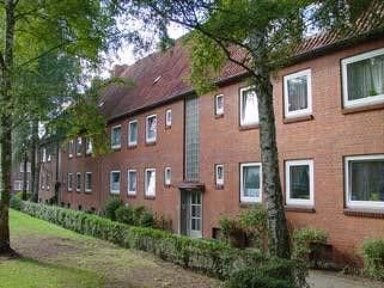 Wohnung zur Miete 485 € 2,5 Zimmer 50,9 m² frei ab 12.10.2024 Langer Kamp 12 Düneberg - Nord, Bez. 2 Geesthacht 21502