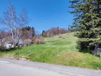 Grundstück zum Kauf 240.000 € 8.175 m² Grundstück Stocken Osterzell 87662