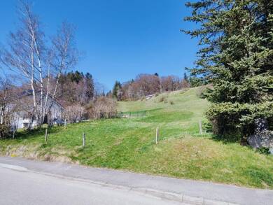 Grundstück zum Kauf 240.000 € 8.175 m² Grundstück Stocken Osterzell 87662