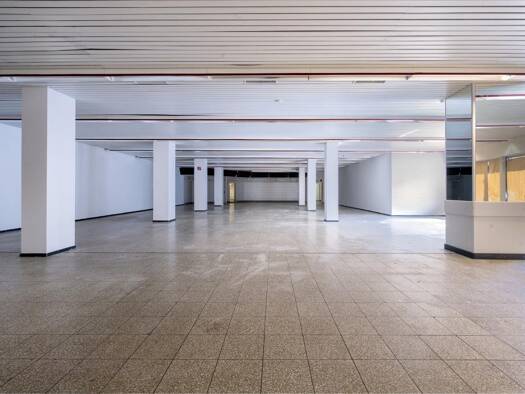 Laden zur Miete 3.383 € 398 m² Verkaufsfläche Trierer Straße 107 Aachen Aachen 52078