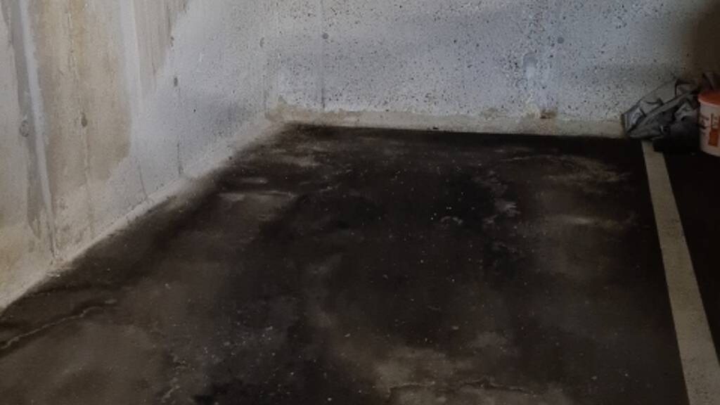 Garage zur Miete 70 € Gänserndorf 2230