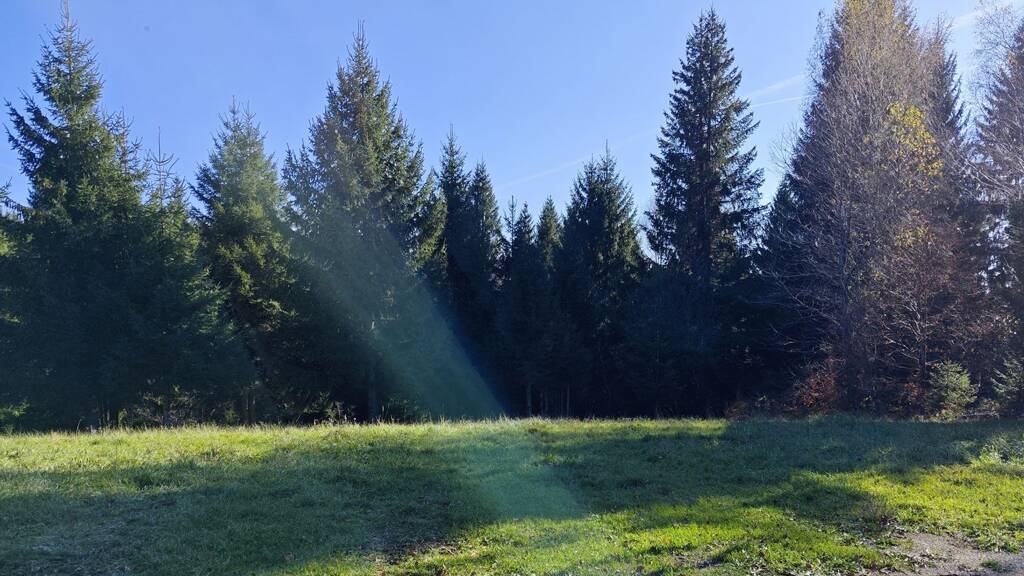 Grundstück zum Kauf 208.000 € Skrad 51311