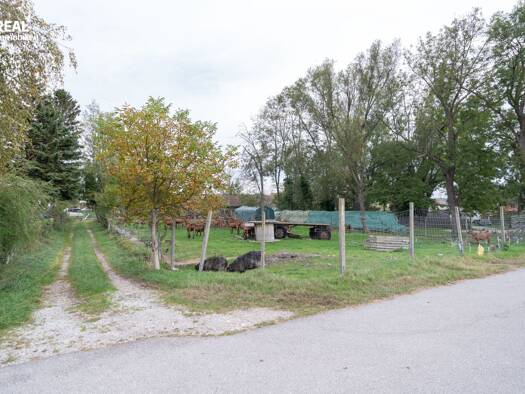 Grundstück zum Kauf 207.000 € 1.200 m² Grundstück Hölles 2751