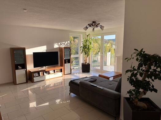 Wohnung zum Kauf provisionsfrei 283.000 € 3 Zimmer 85 m² Geschoss 2/3 Im Donaupark Immendingen 78194