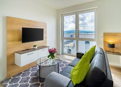 Studio zur Miete - Neubau Wohnen auf Zeit 1.395 € 1 Zimmer 28 m² Dieselstraße 8 Bad Nauheim Bad Nauheim 61231