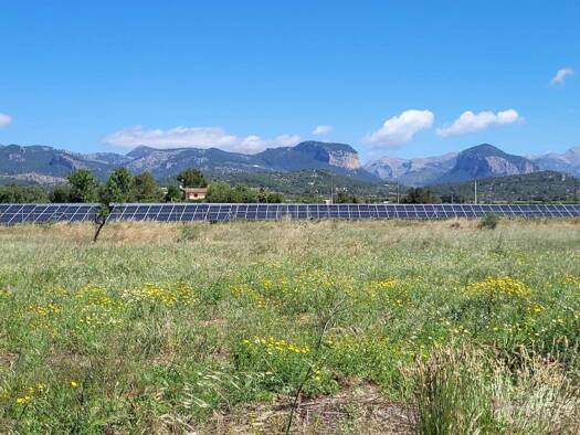 Acker-/Waldstück zum Kauf 330.000 € Santa Maria del Camí 07320