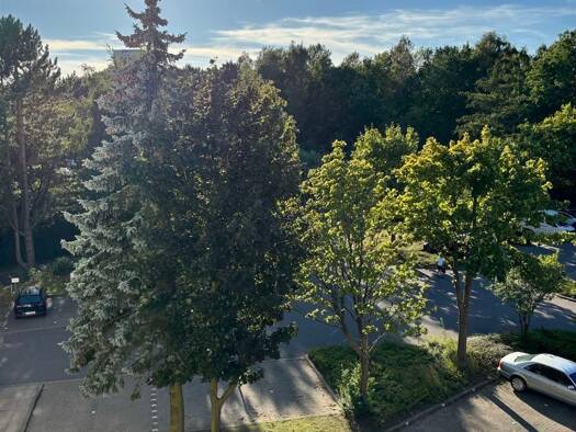 Studio zum Kauf 133.000 € 1 Zimmer 33 m² 3. Geschoss Sierksdorf 23730