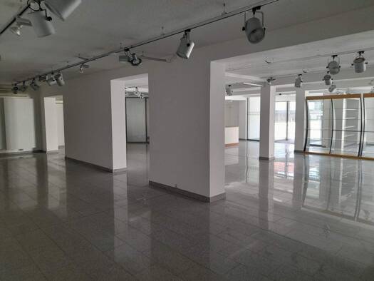 Ladenfläche zur Miete 1.100 € 245 m² Verkaufsfläche Hauptstraße 2-4 Spiegelau 94518