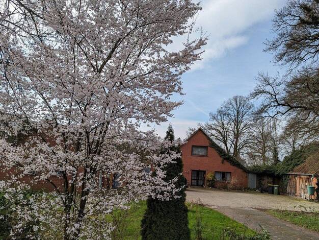 Bauernhaus zum Kauf provisionsfrei 380.000 € 8 Zimmer 230 m² 3.200 m² Grundstück Hurrel Hude 27798