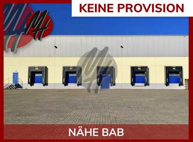 Halle/Industriefläche zur Miete provisionsfrei 4.250 m² Lagerfläche Ingelheim am Rhein 55218