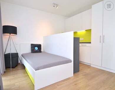 Wohnung zur Miete Wohnen auf Zeit 665 € 1 Zimmer 21 m² frei ab 01.09.2025 Frauenland Würzburg 97074