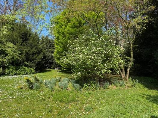 Grundstück zum Kauf 5.500.000 € 1.492 m² Grundstück Bockenheim Frankfurt am Main 60487