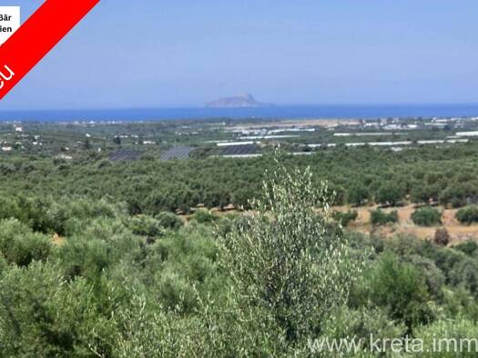Land-/Forstwirtschaft zum Kauf 45.000 € 1.600 m² Grundstück Municipality of Festos 702 00