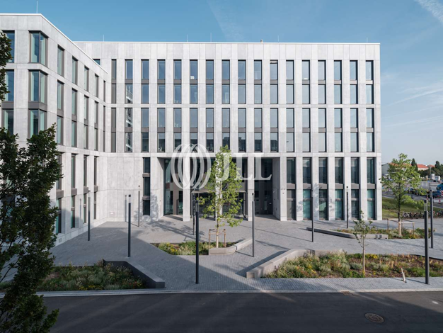 Bürofläche zur Miete provisionsfrei 19,50 € 6.486 m² Bürofläche teilbar ab 800 m² Kaefertal - Südwest Mannheim 68309