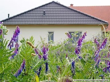 Einfamilienhaus zum Kauf provisionsfrei 559 m² Grundstück frei ab sofort Hermsdorf 07629