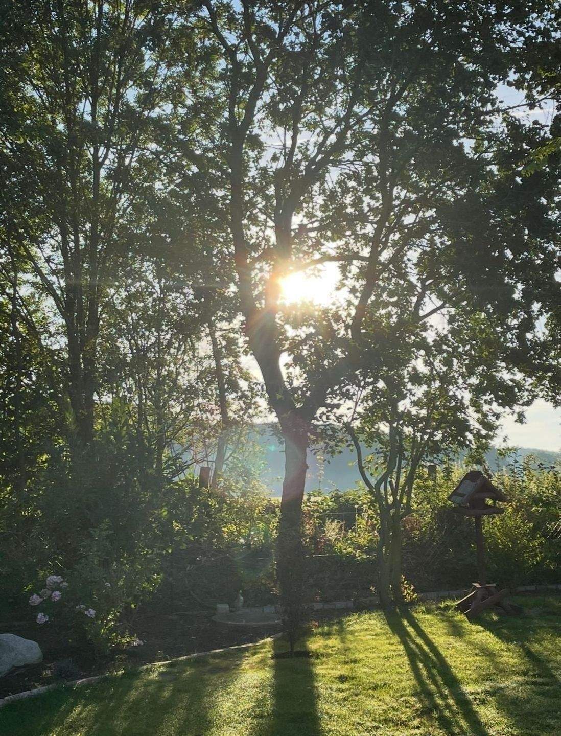 Immobilie in Westergellersen - Schönes Fachwerkanwesen am Feldrand! - Bild 3