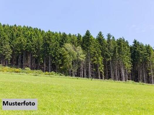 Land-/Forstwirtschaft zum Kauf 10.800 € 2.601 m² Grundstück Trautmannsdorf an der Leitha 2463