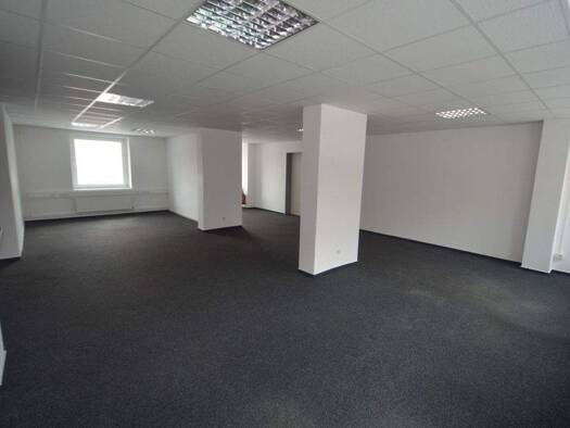 Bürofläche zur Miete 1.495 € 4 Zimmer 176,3 m² Bürofläche Diagonalstraße 41 Hamm Hamburg / Hamm-Mitte 20537