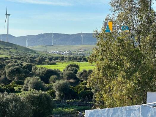 Acker-/Waldstück zum Kauf 350.000 € Tarifa 11380