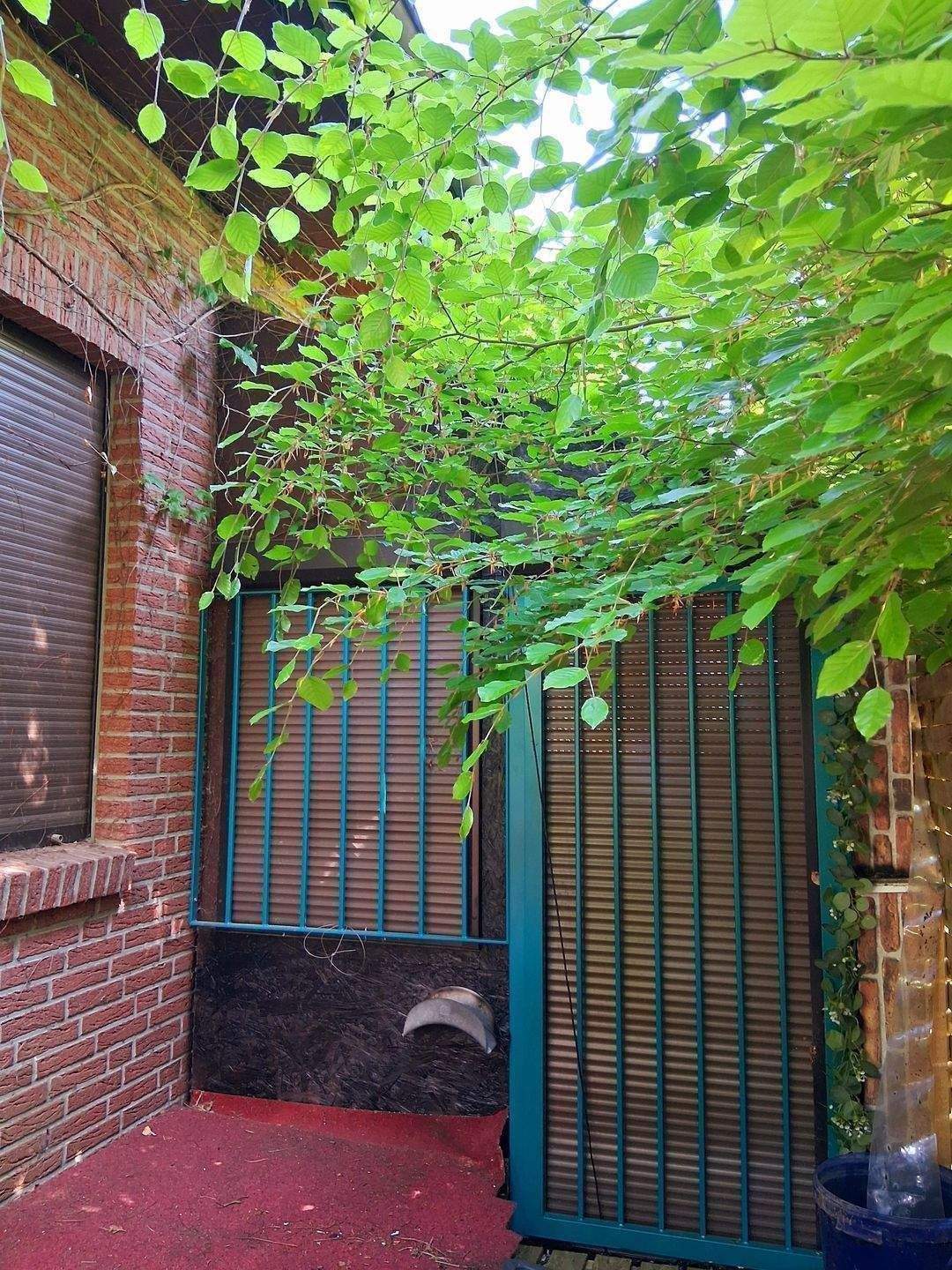 Property thumbnail 52