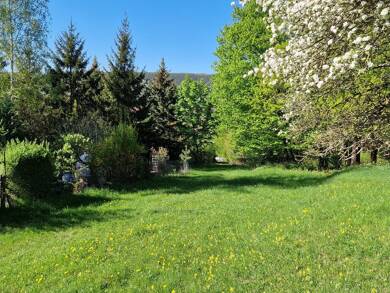 Einfamilienhaus zum Kauf provisionsfrei 554.000 € 3.814 m² Grundstück Jena 07751