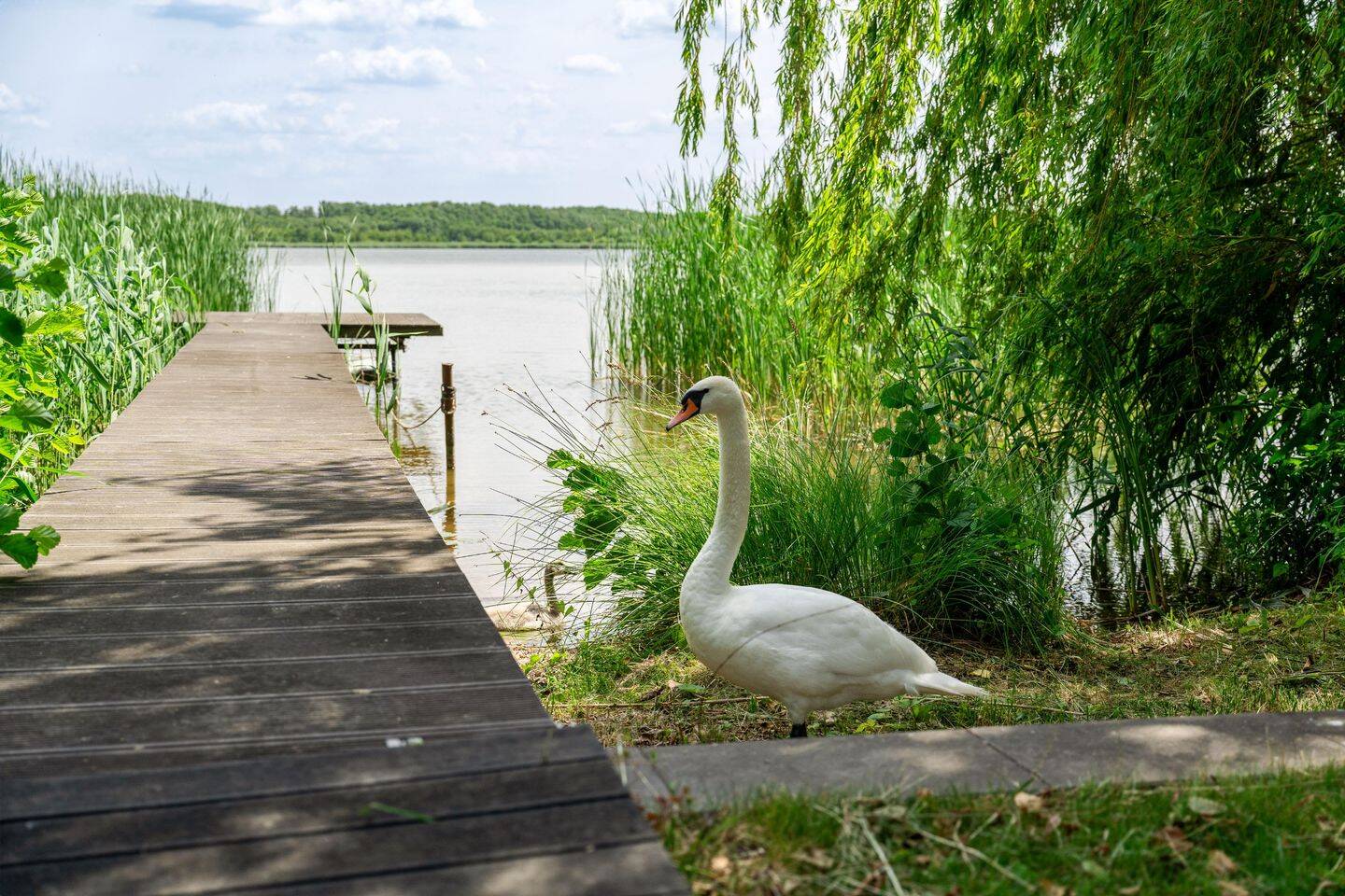 Einfamilienhaus zum Kauf, Am Mellensee