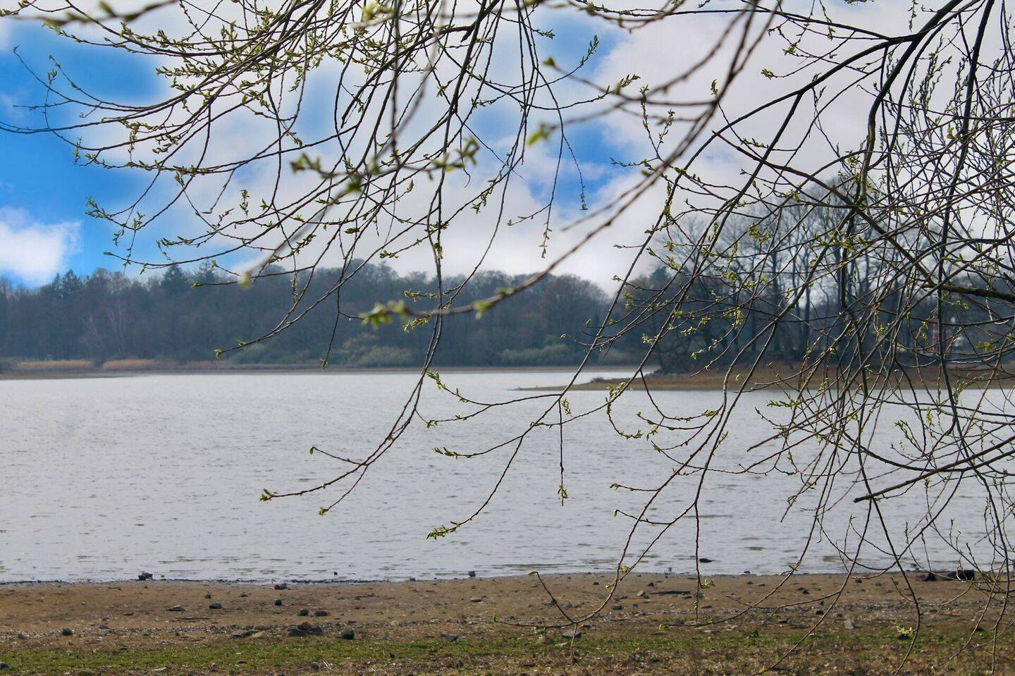 Immobilie in Radeburg - *Das Haus am See* - Teilvermietetes Reihenhaus mit 6 Einheiten zur Kapitalanlage und zum Eigennutz - Bild 1