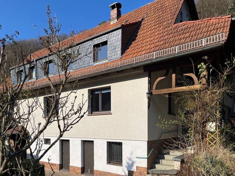 Einfamilienhaus zum Kauf 425.000 € 11 Zimmer 260 m² 1.694 m² Grundstück Waldaschaff 63857